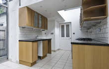 Ballynaskeagh kitchen extension leads